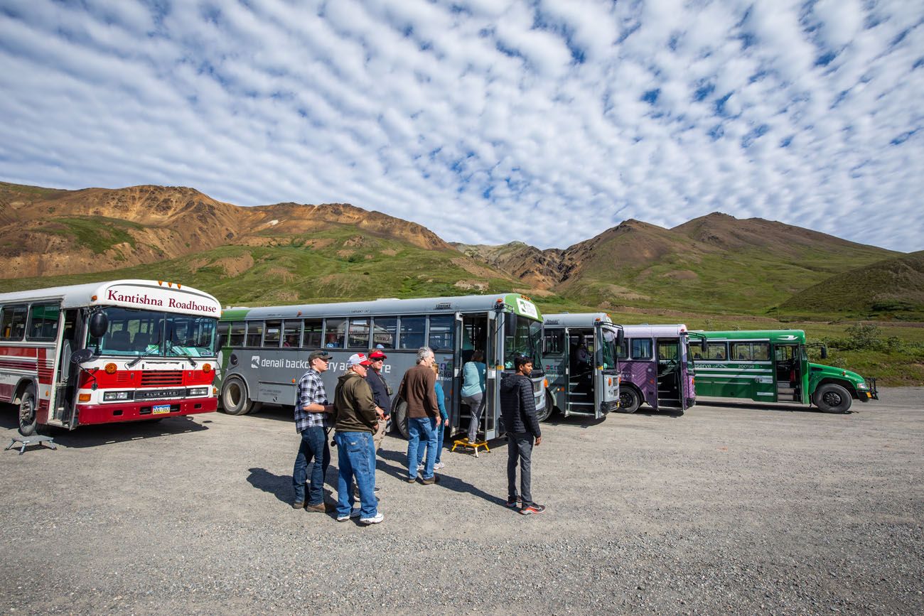 Denali Park Buses