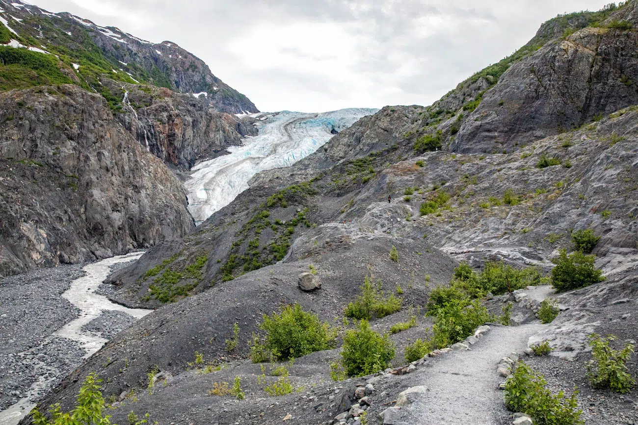 Exit Glacier Trail