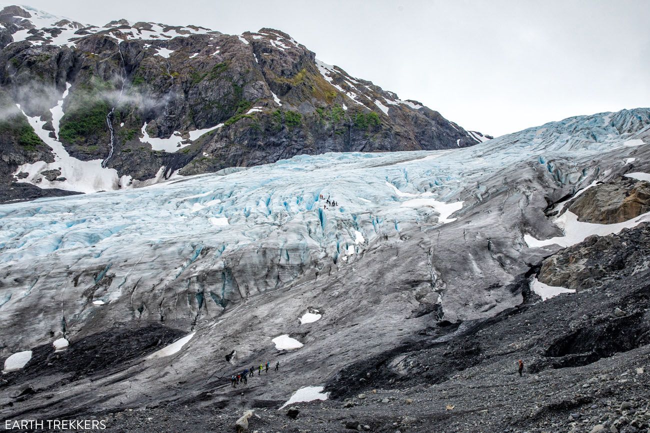 7 Cool Facts About the Puffins of Kenai Fjords National Park