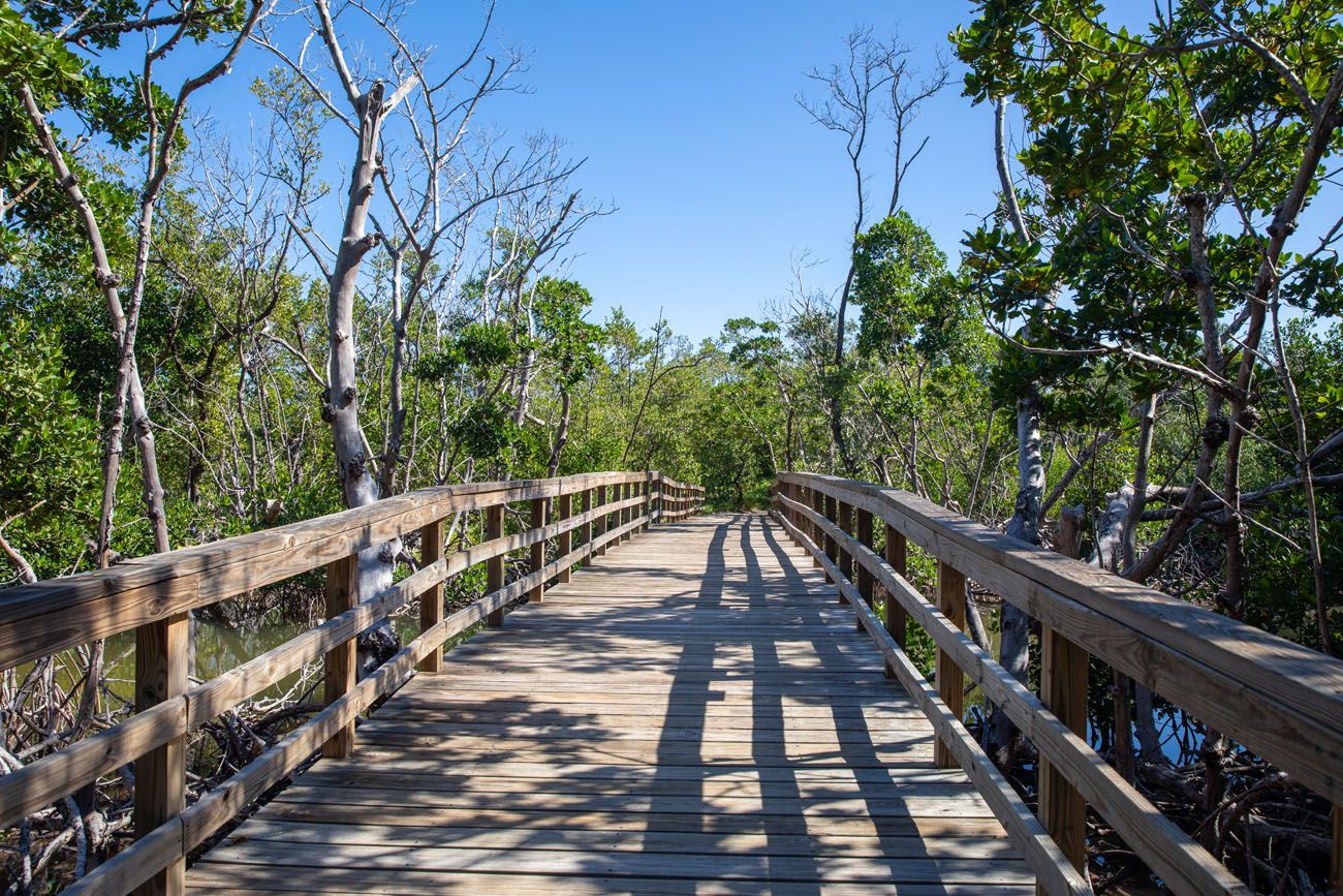 Golden Orb Trail