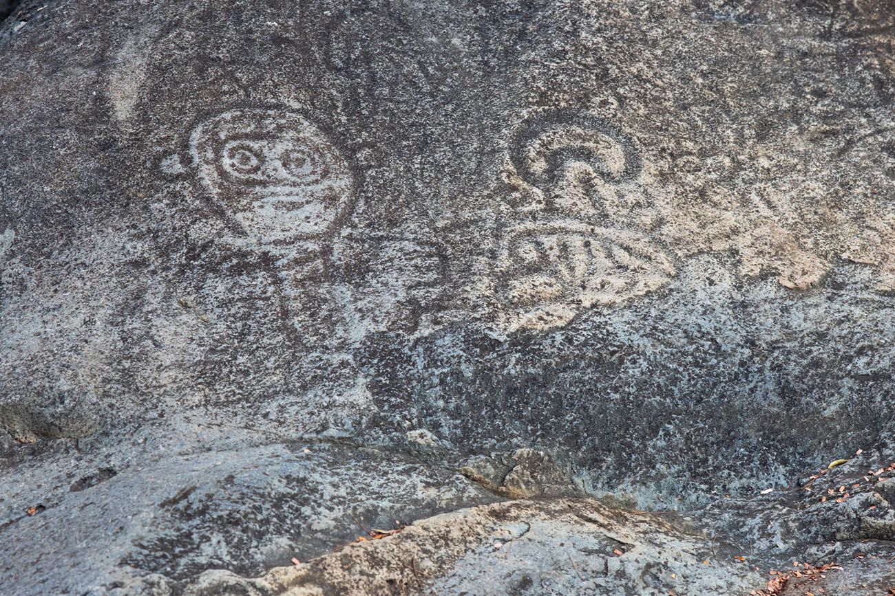 Petroglyphs best things to do in Virgin Islands National Park