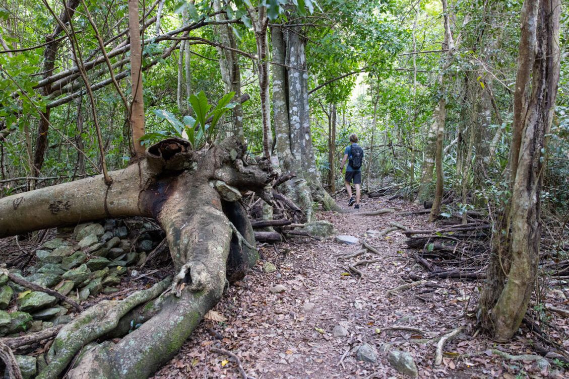 7 Awesome Things to Do in Saint John, USVI Earth Trekkers