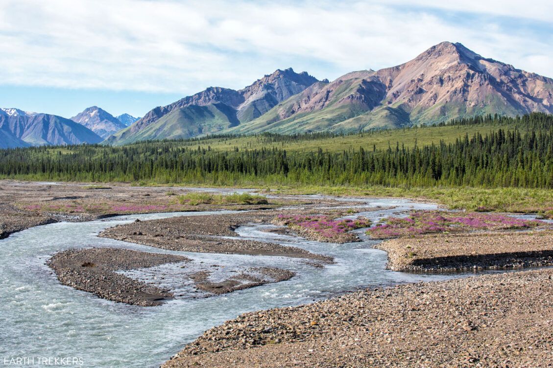 What to Do in Denali while Denali Park Road is Closed (& Is It Worth It ...