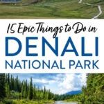 Things to Do in Denali NP