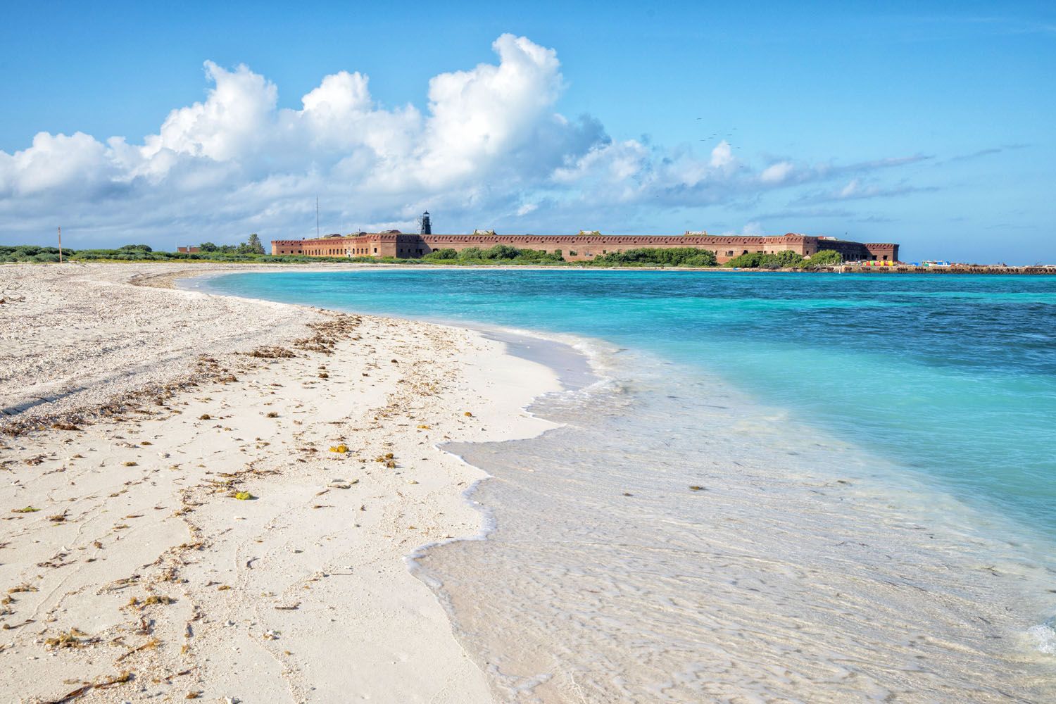 Dry Tortugas National Park Guide