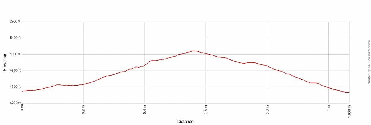 Rankin Ridge Trail Elevation Profile
