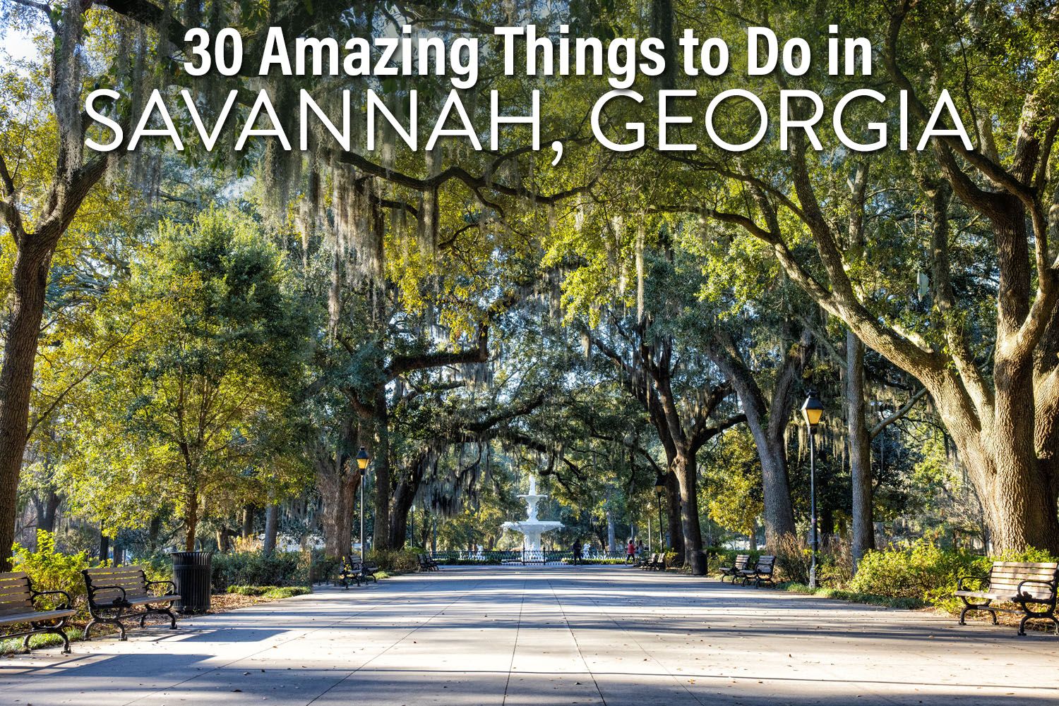 Things to Do Savannah