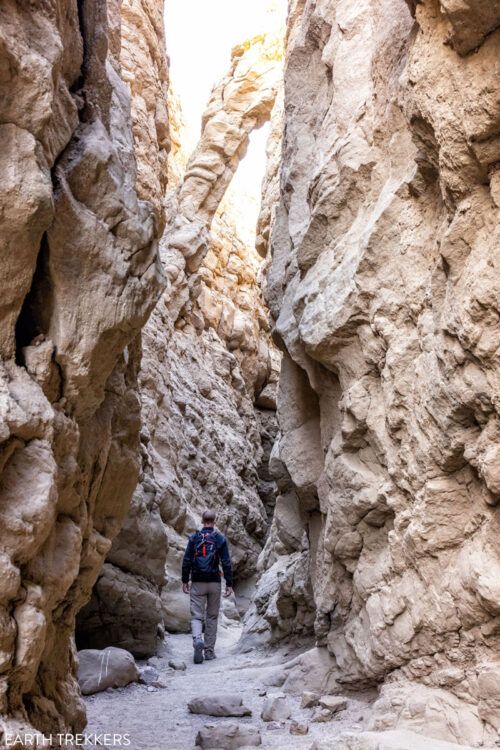 Ultimate Guide to The Slot, Anza-Borrego Desert State Park – Earth Trekkers