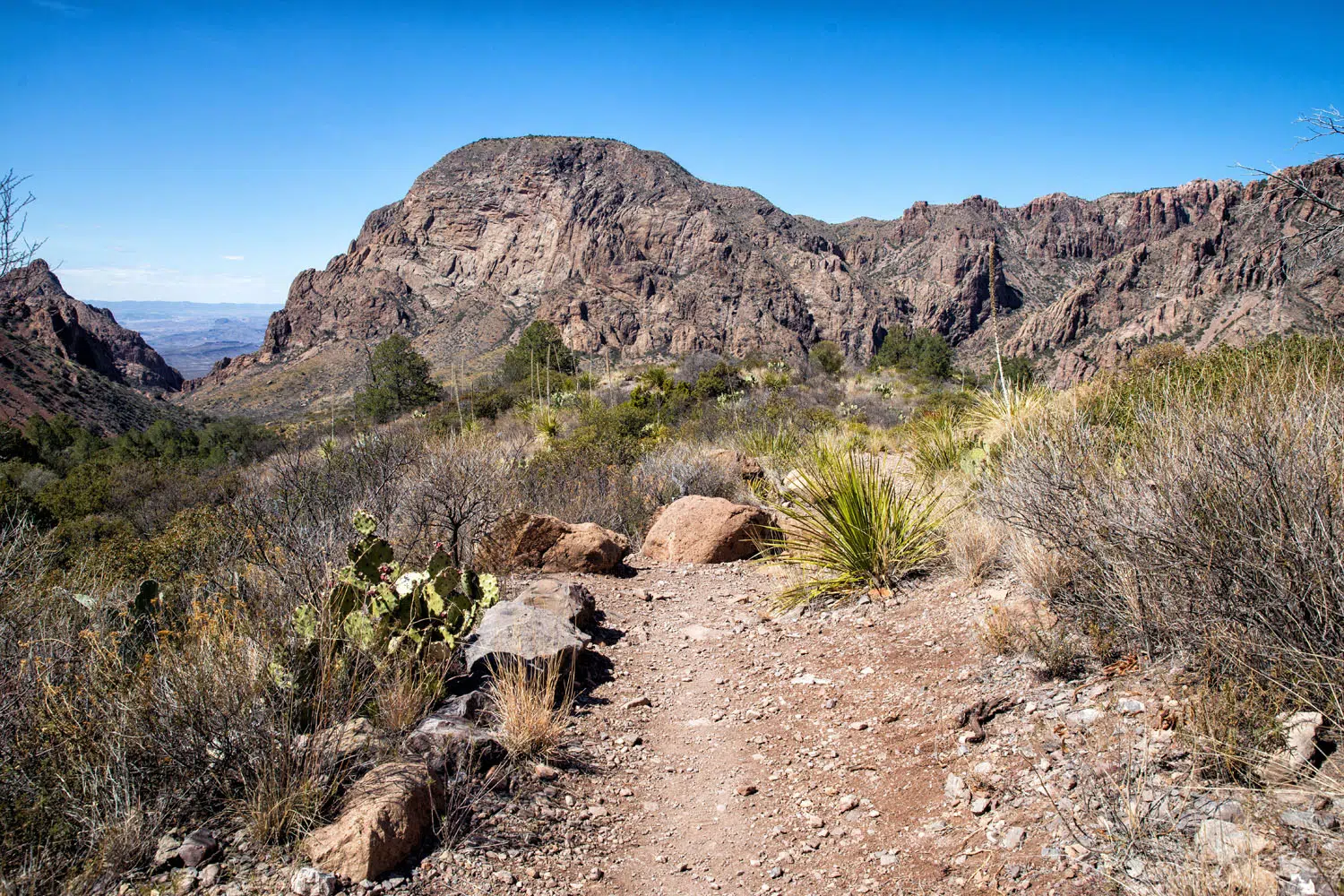Chisos Basin Trail