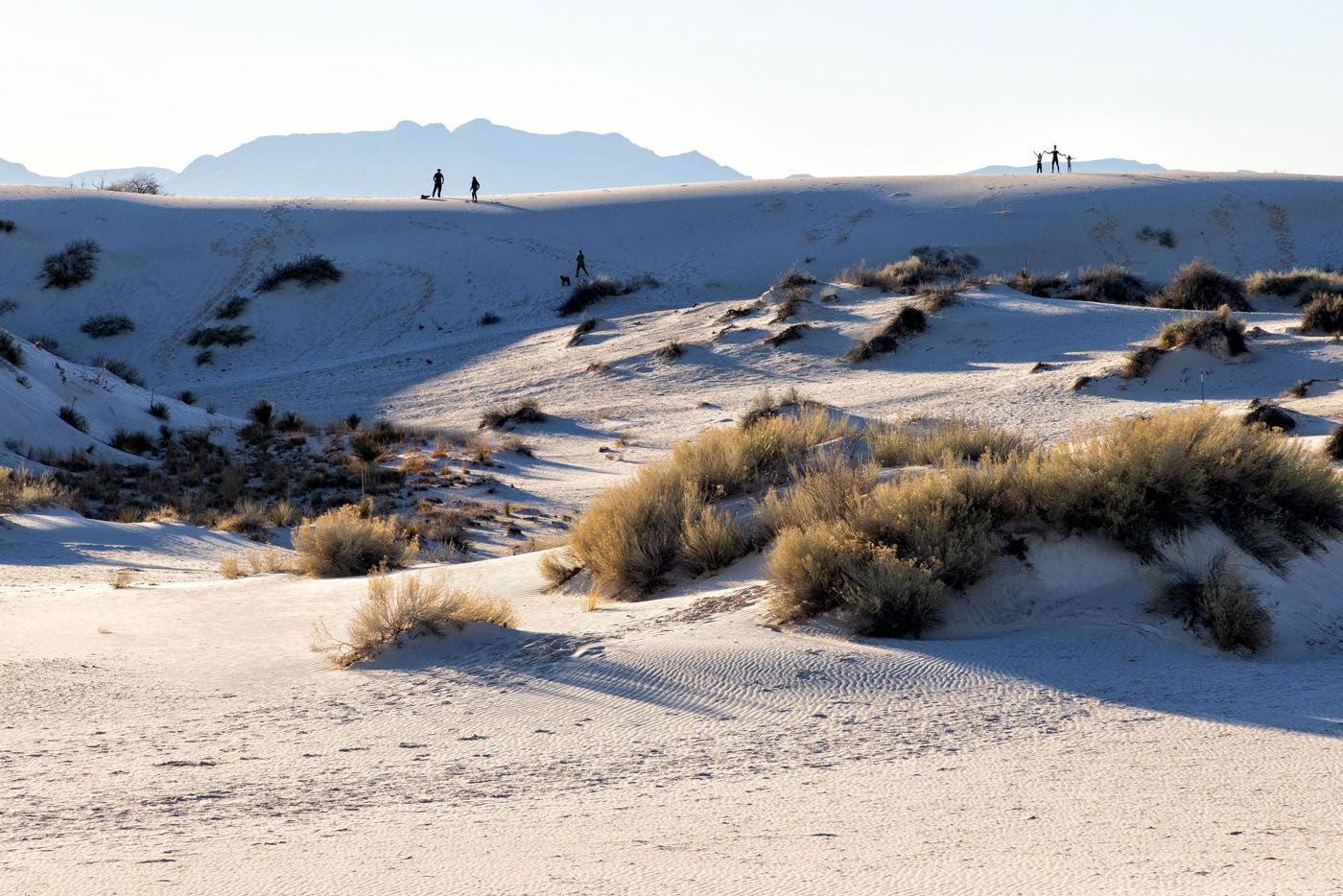 Dune Life Nature Trail | Best National Parks in March