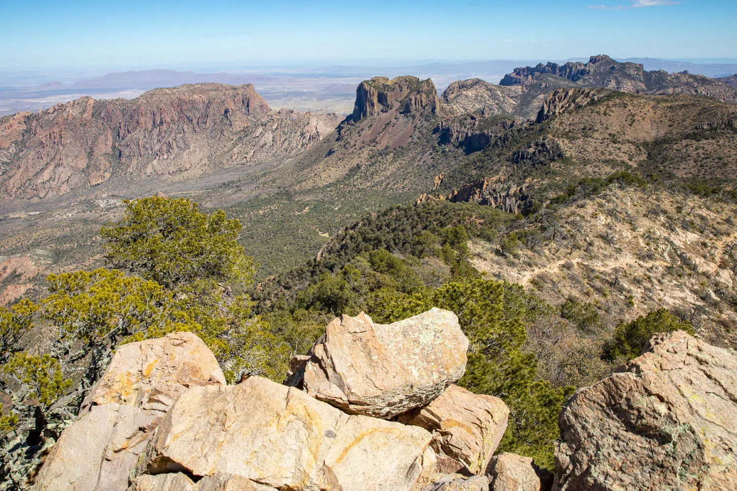 Emory Peak View