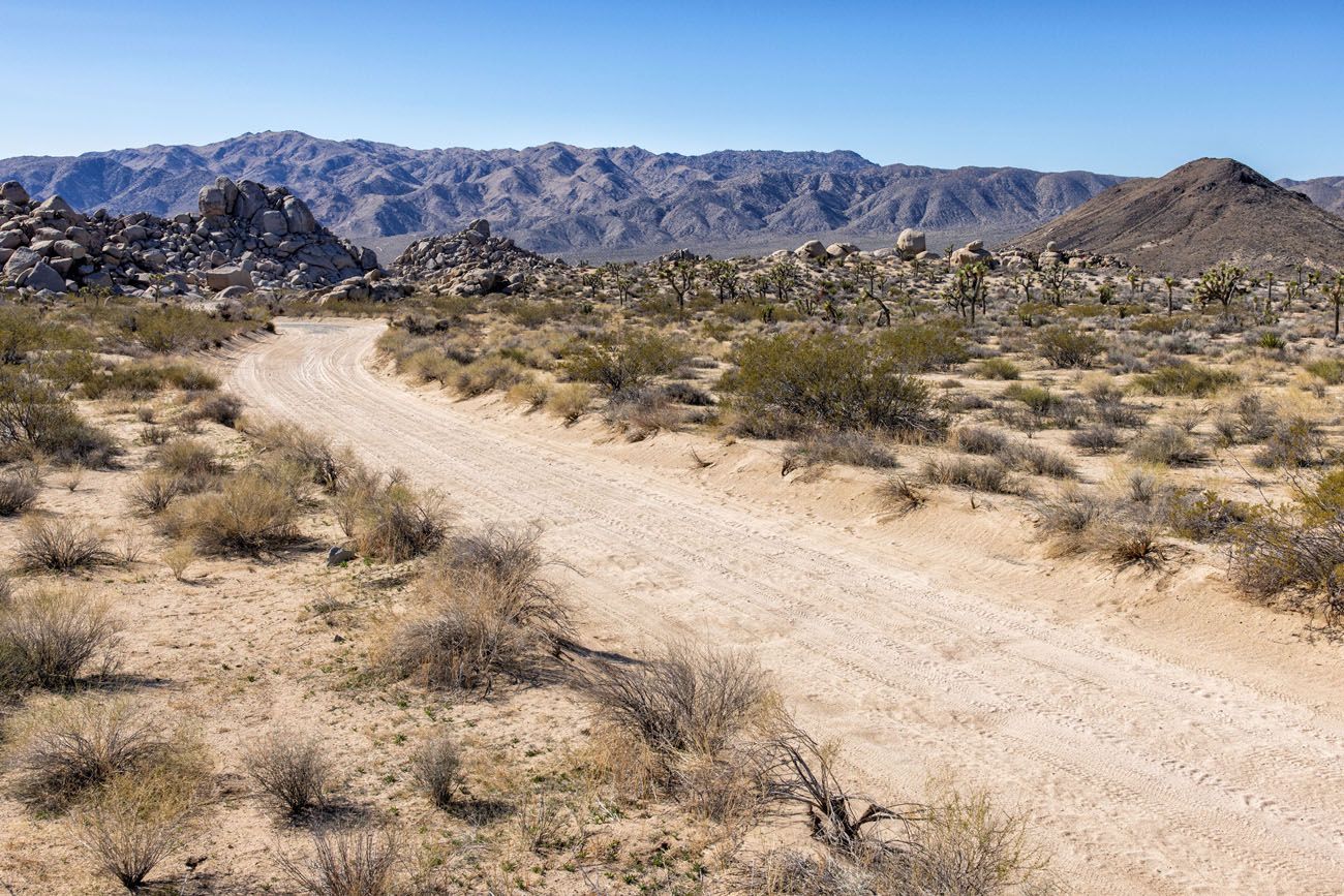 Geology Tour Road best things to do in Joshua Tree