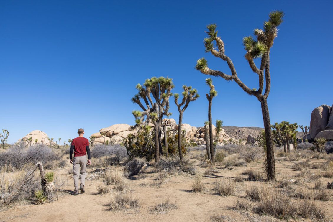 How to Hike the Hall of Horrors Joshua Tree National Park Earth