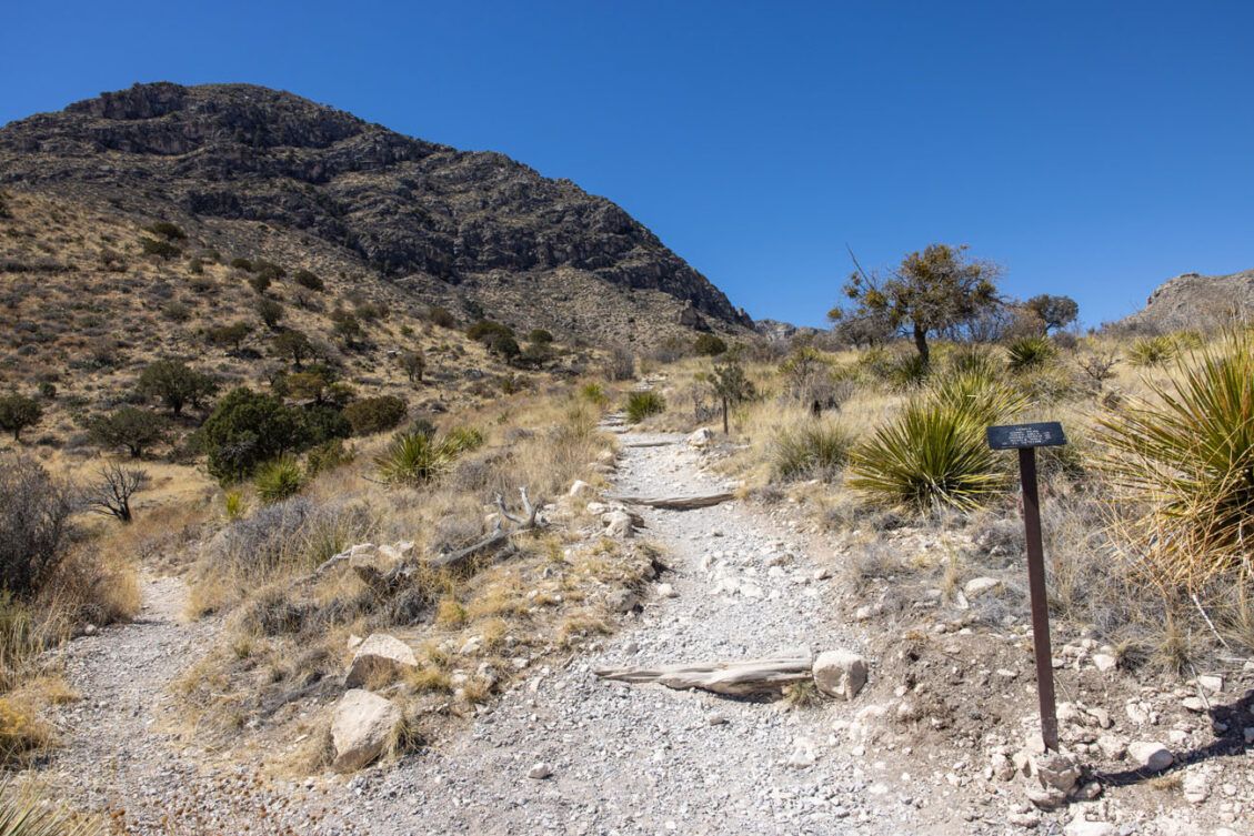 How to Hike to Guadalupe Peak, the "Top of Texas" Earth Trekkers