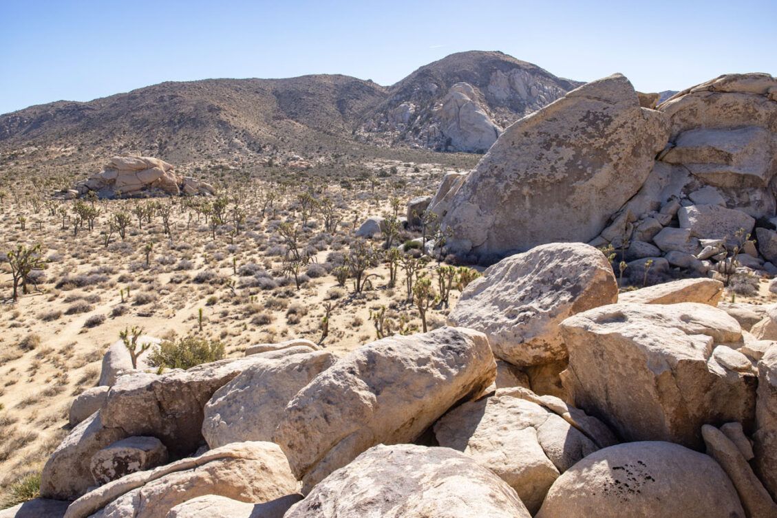 How to Hike the Hall of Horrors Joshua Tree National Park Earth Trekkers