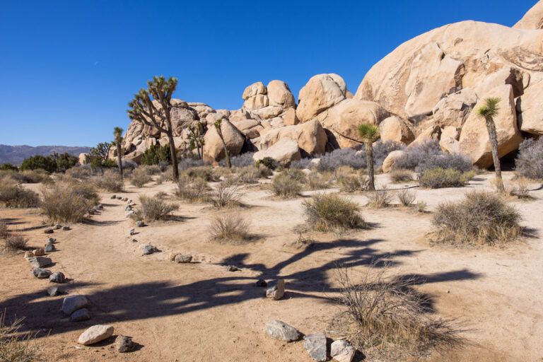 How to Hike the Hall of Horrors Joshua Tree National Park Earth