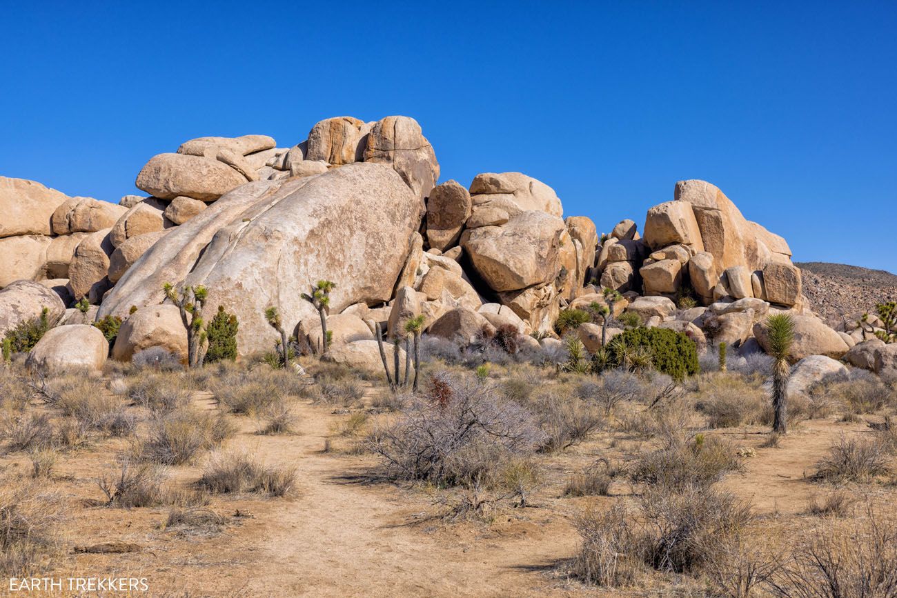 Hall of Horrors King Dome | Best hikes in Joshua Tree