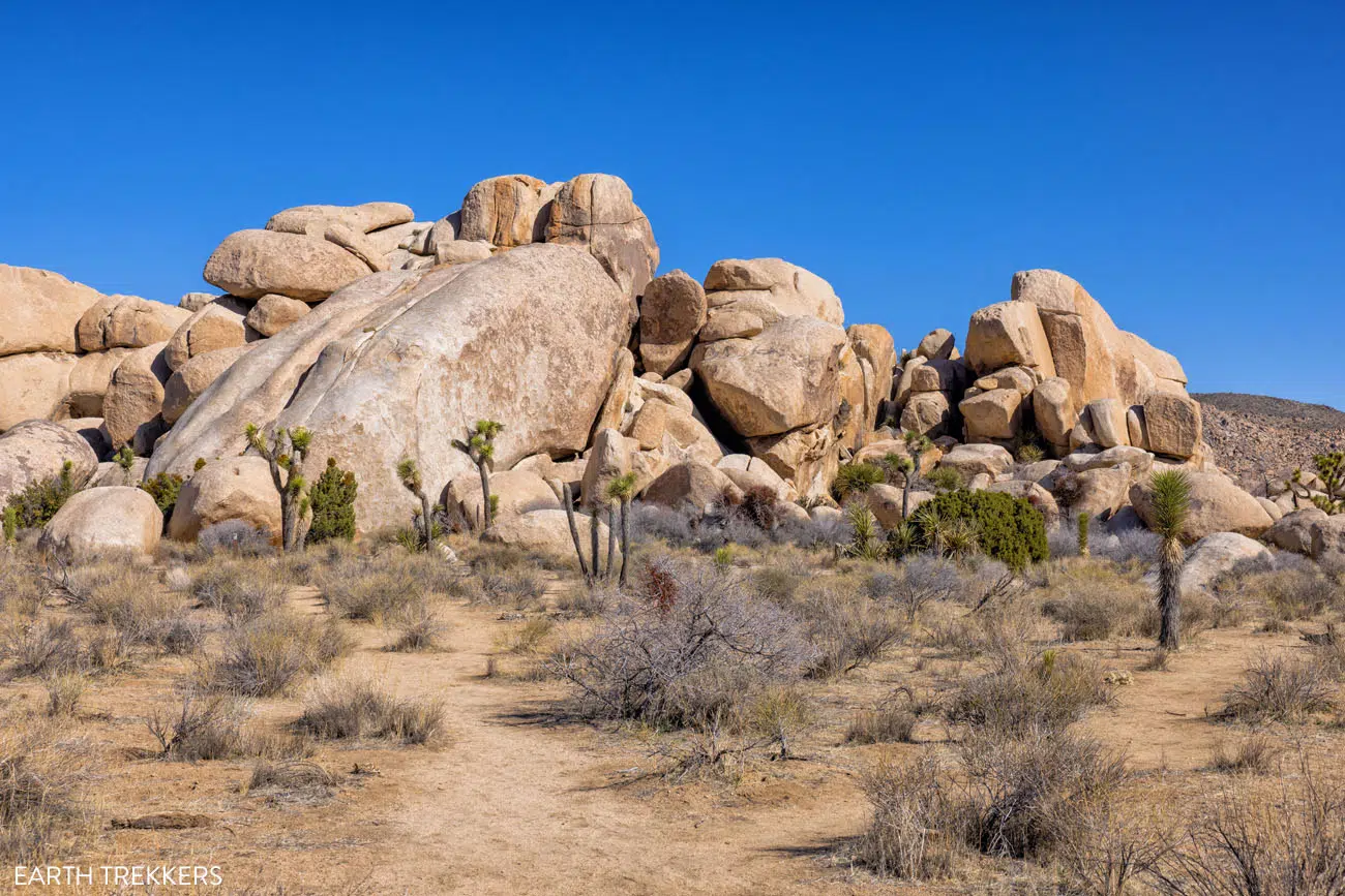 Hall of Horrors King Dome | Best hikes in Joshua Tree