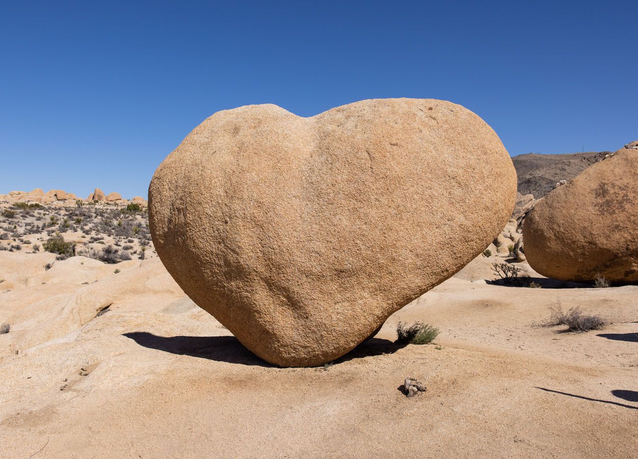 Heart Rock Joshua Tree
