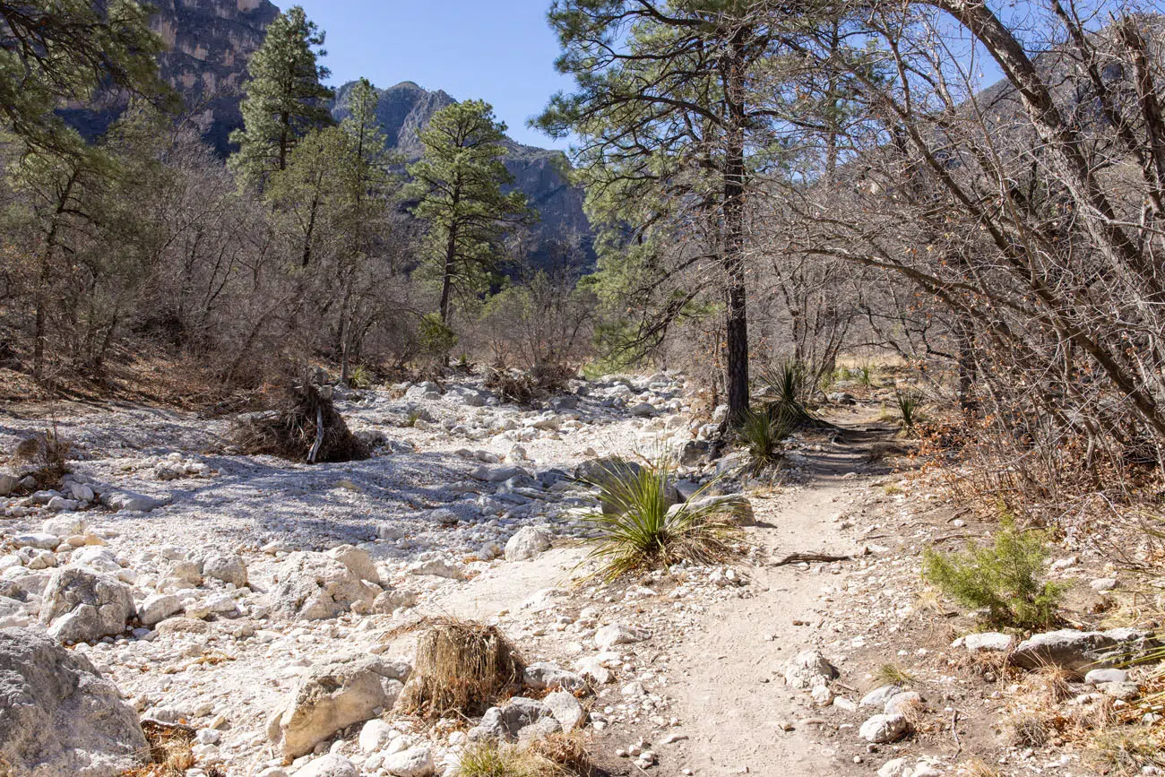 Hiking to the Notch Guadalupe Mountains