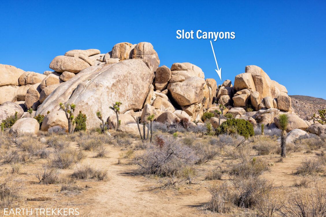 How to Hike the Hall of Horrors Joshua Tree National Park Earth Trekkers