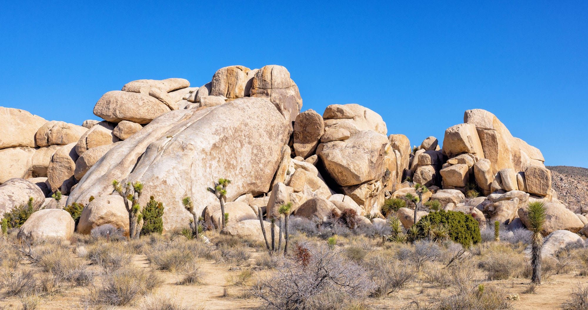 Featured image for “How to Hike the Hall of Horrors | Joshua Tree National Park”