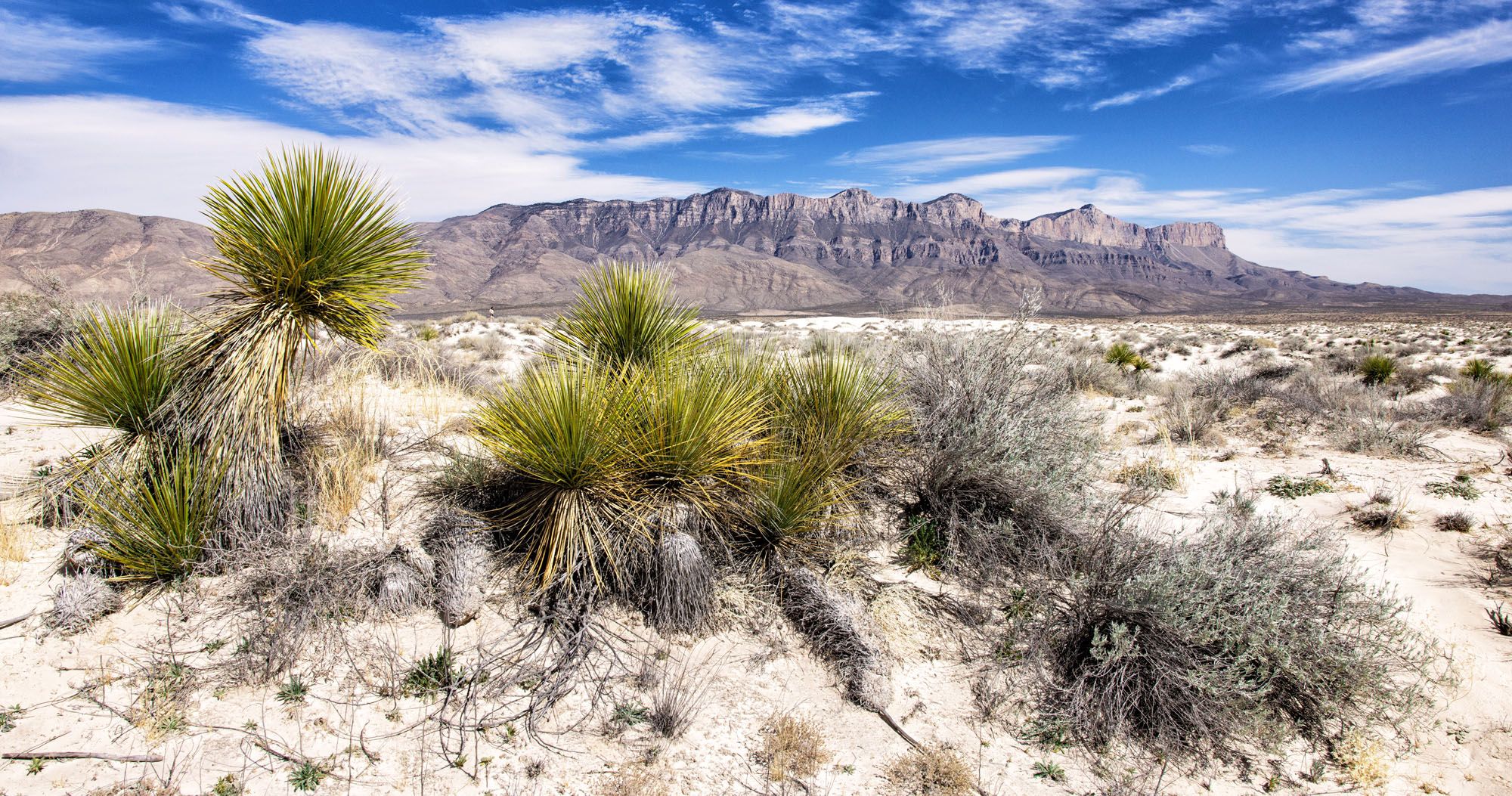 How to Visit Guadalupe Mountains