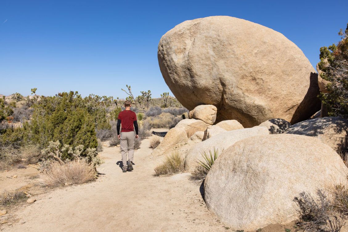 How to Hike the Hall of Horrors Joshua Tree National Park Earth