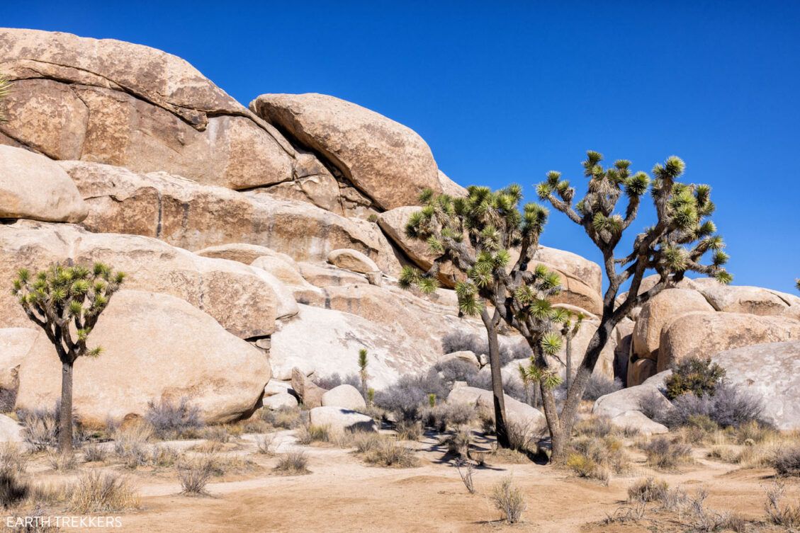 How to Hike the Hall of Horrors Joshua Tree National Park Earth Trekkers