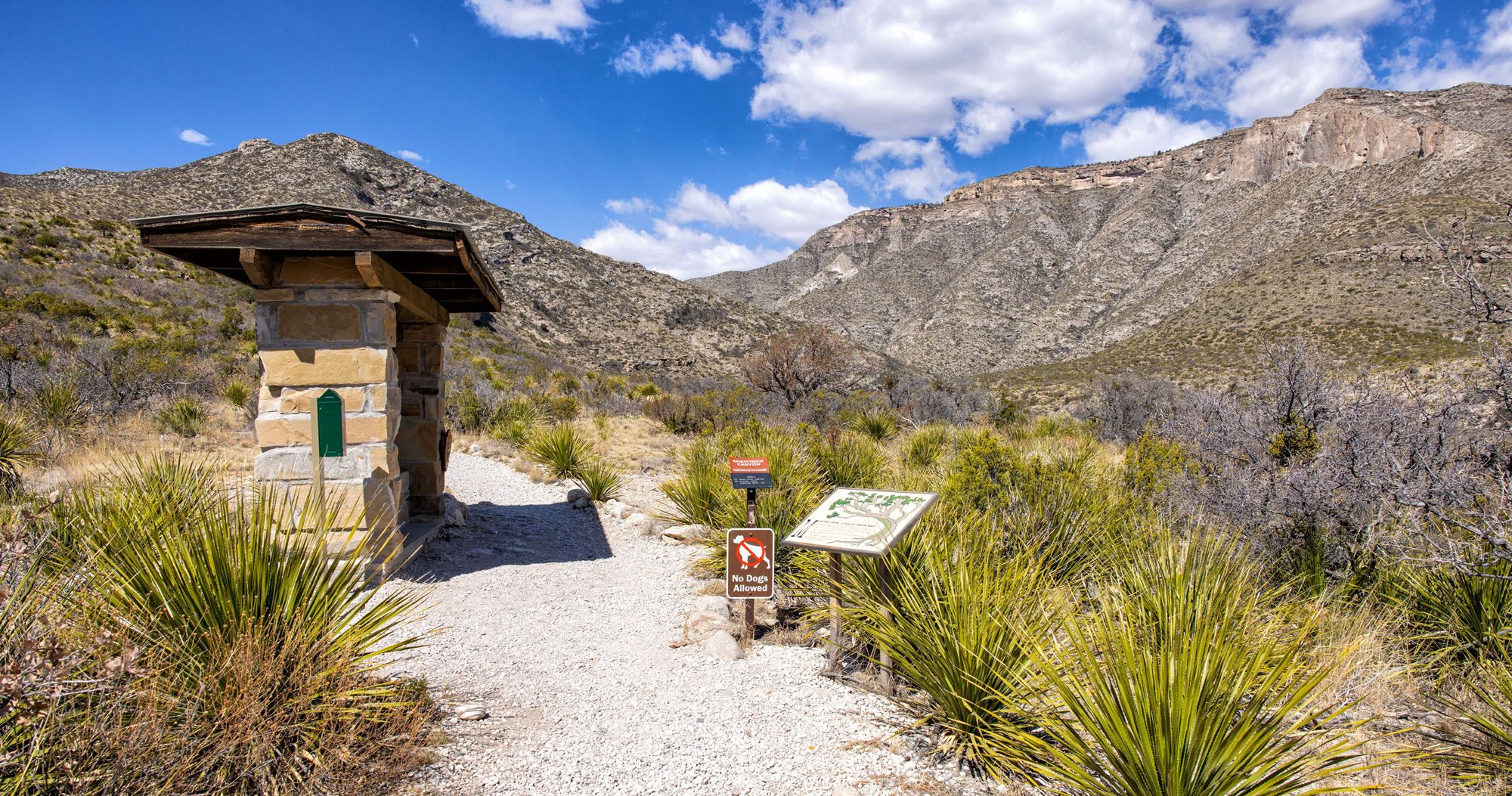 Featured image for “How to Hike the McKittrick Canyon Trail to Pratt Cabin, the Grotto & the Notch”