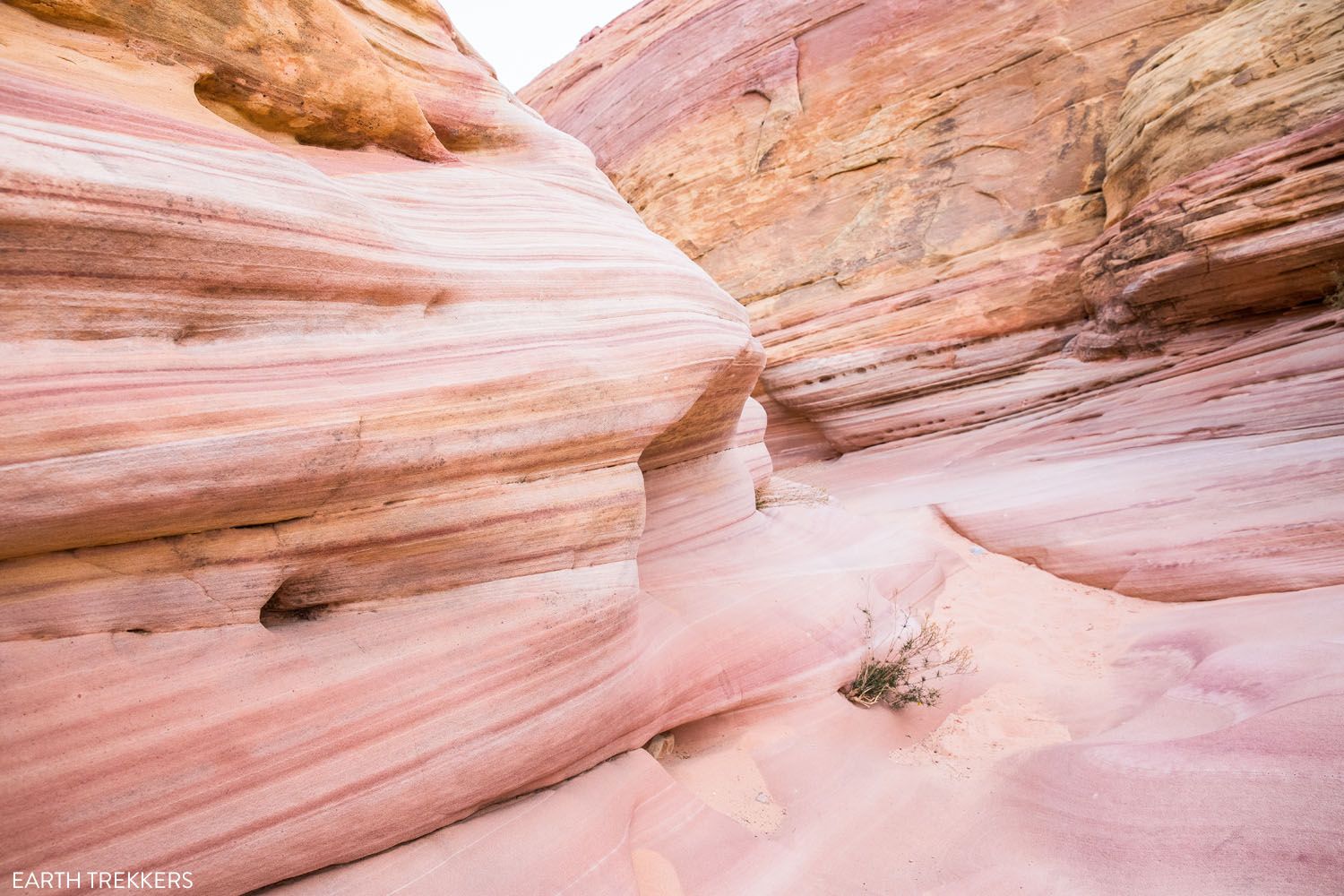 Pink Canyon Valley of Fire