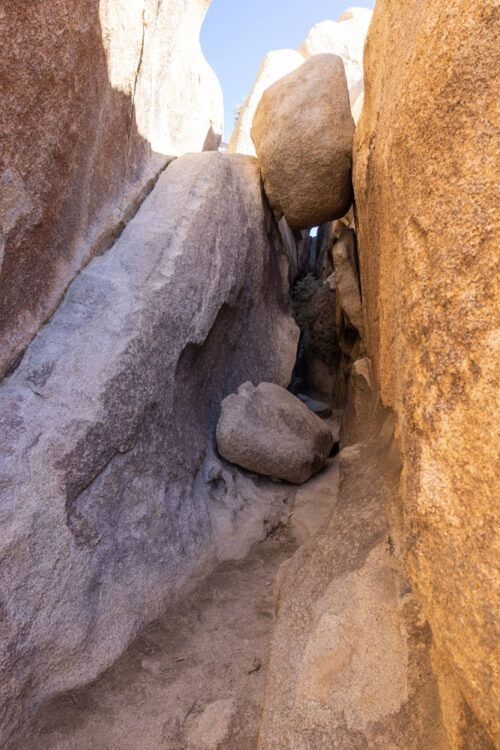 How to Hike the Hall of Horrors Joshua Tree National Park Earth Trekkers