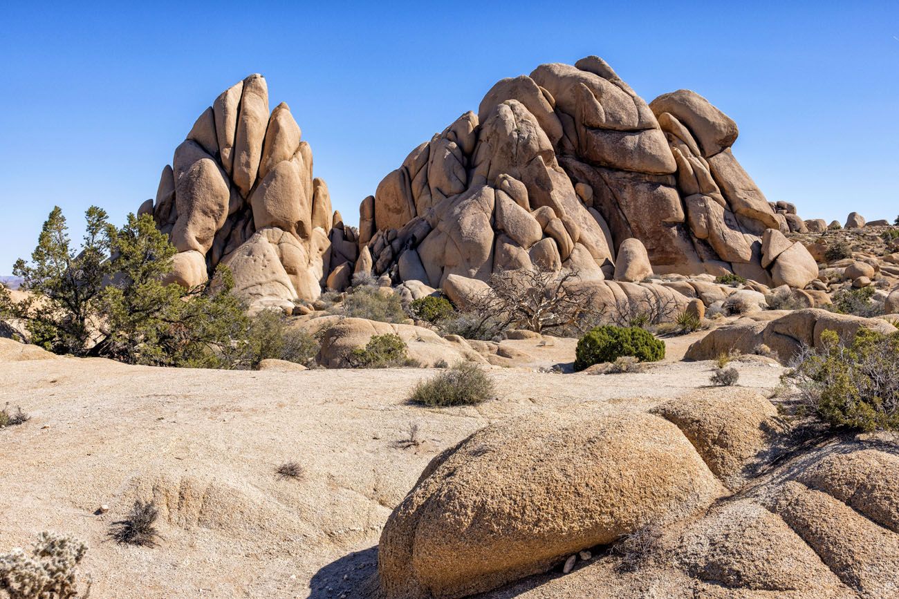 Skull Rock Trail Photo best things to do in Joshua Tree