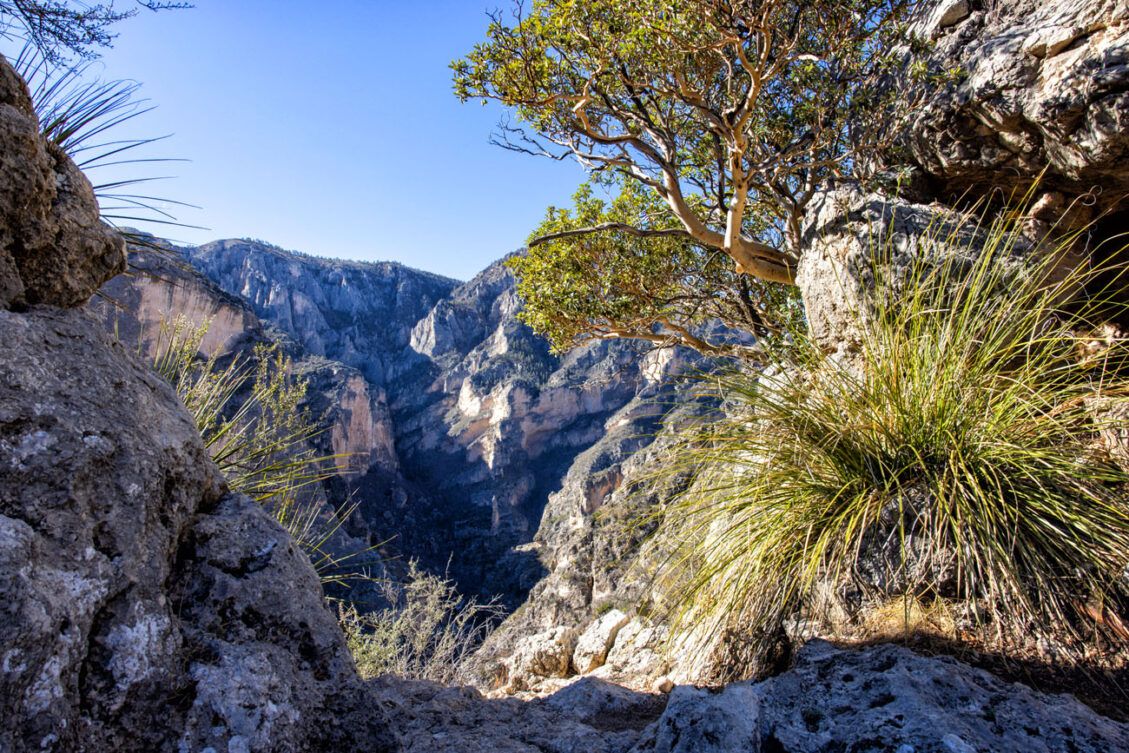 16 Great Things to Do in Guadalupe Mountains National Park – Earth Trekkers