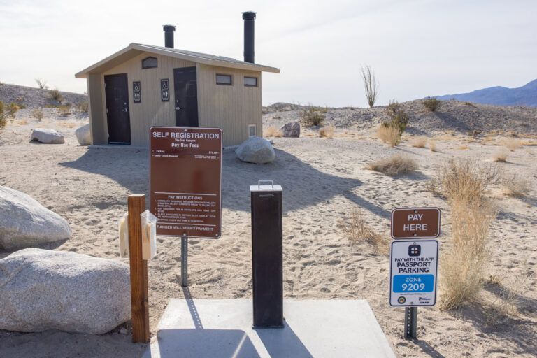 Ultimate Guide to The Slot, AnzaBorrego Desert State Park Earth Trekkers