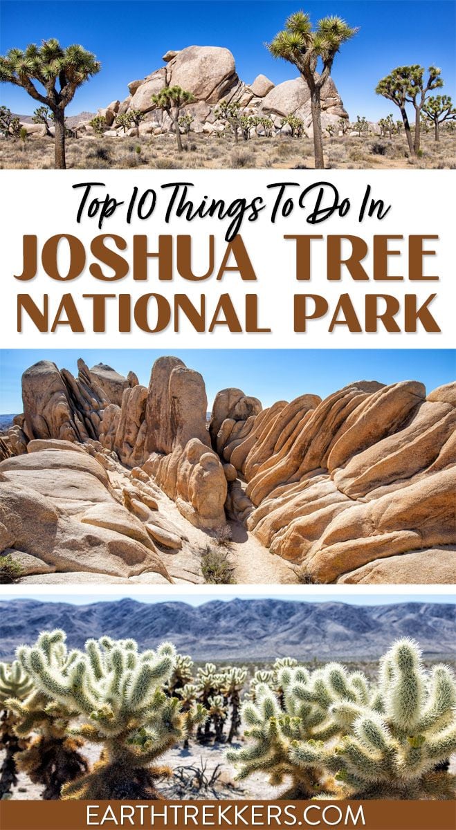 Things to Do Joshua Tree National Park