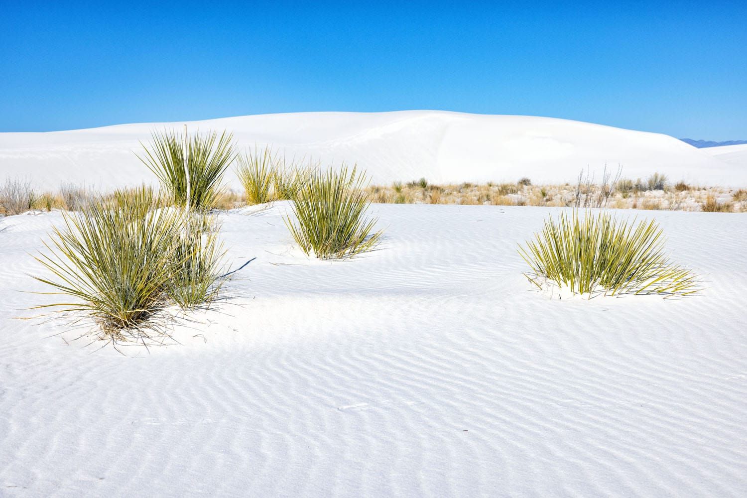 Things to Do in White Sands