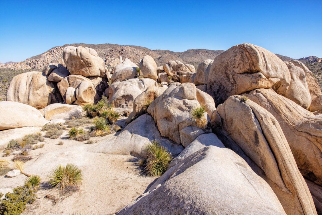 How to Hike the Hall of Horrors Joshua Tree National Park Earth Trekkers