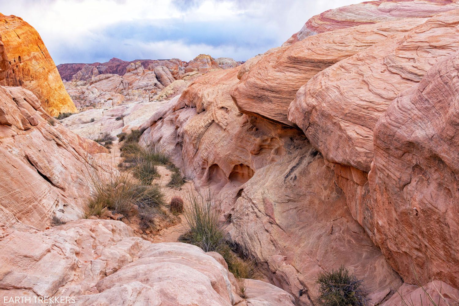 Valley of Fire Day Trip