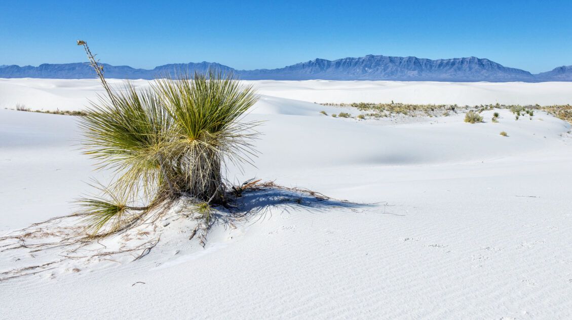 White Sands National Park