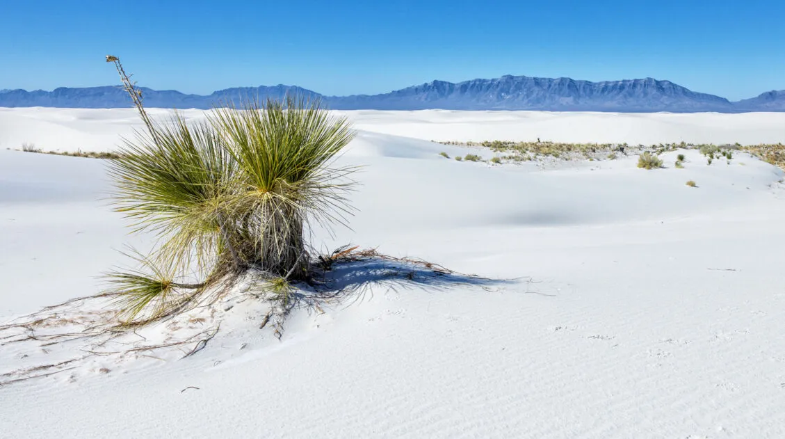White Sands National Park