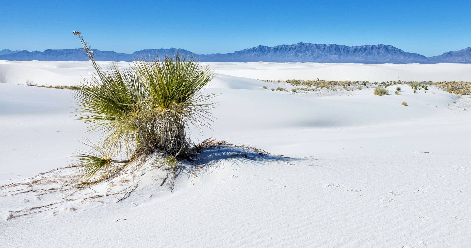 Trinity Site - White Sands National Park (U.S. National Park Service)