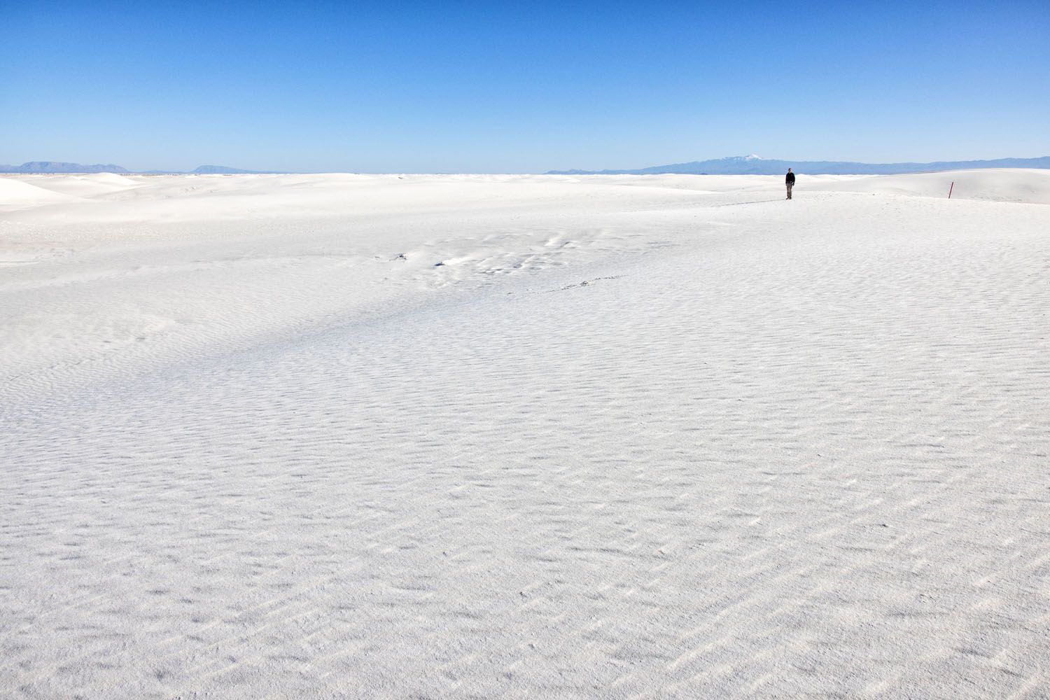 White Sands in the Morning