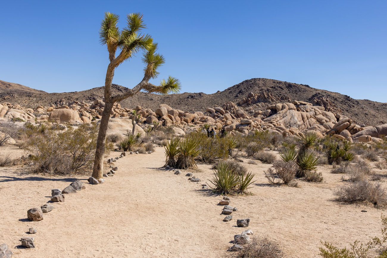 Arch Rock Access Trail | Best hikes in Joshua Tree