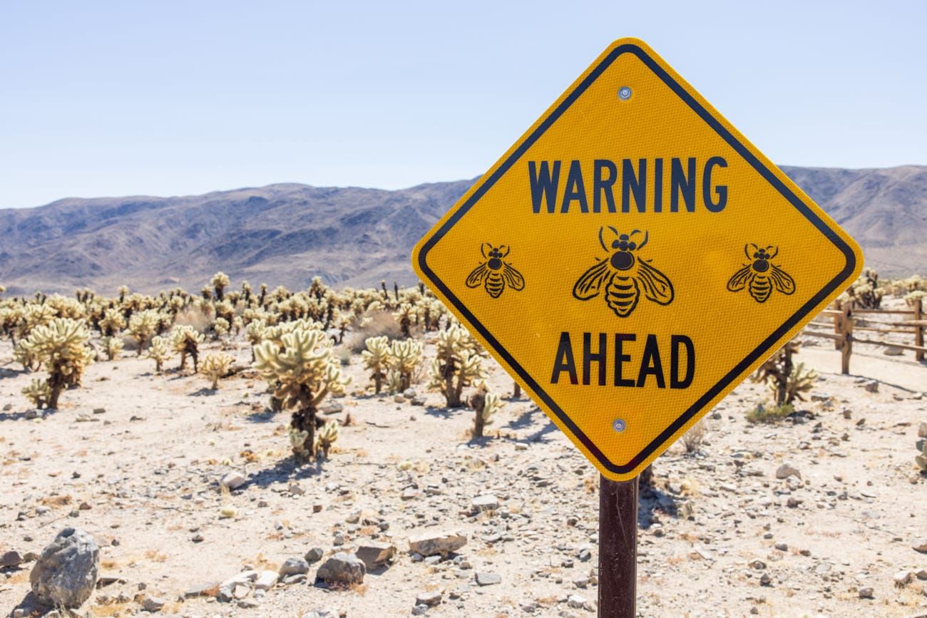 Bee Warning