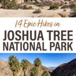 Joshua Tree National Park Best Hikes