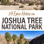 Best hikes in Joshua Tree National Park. Includes Ryan Peak, Hall of Horrors, Warren Peak, Arch Rock Trail, and more.