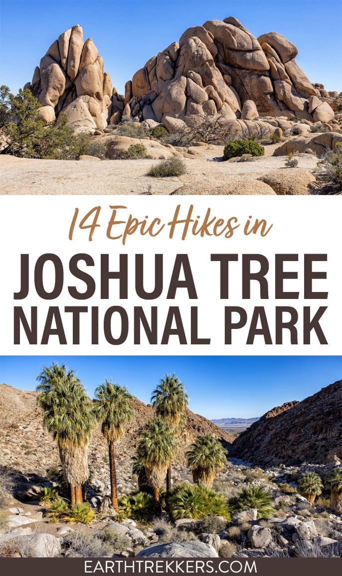 Joshua Tree National Park Best Hikes