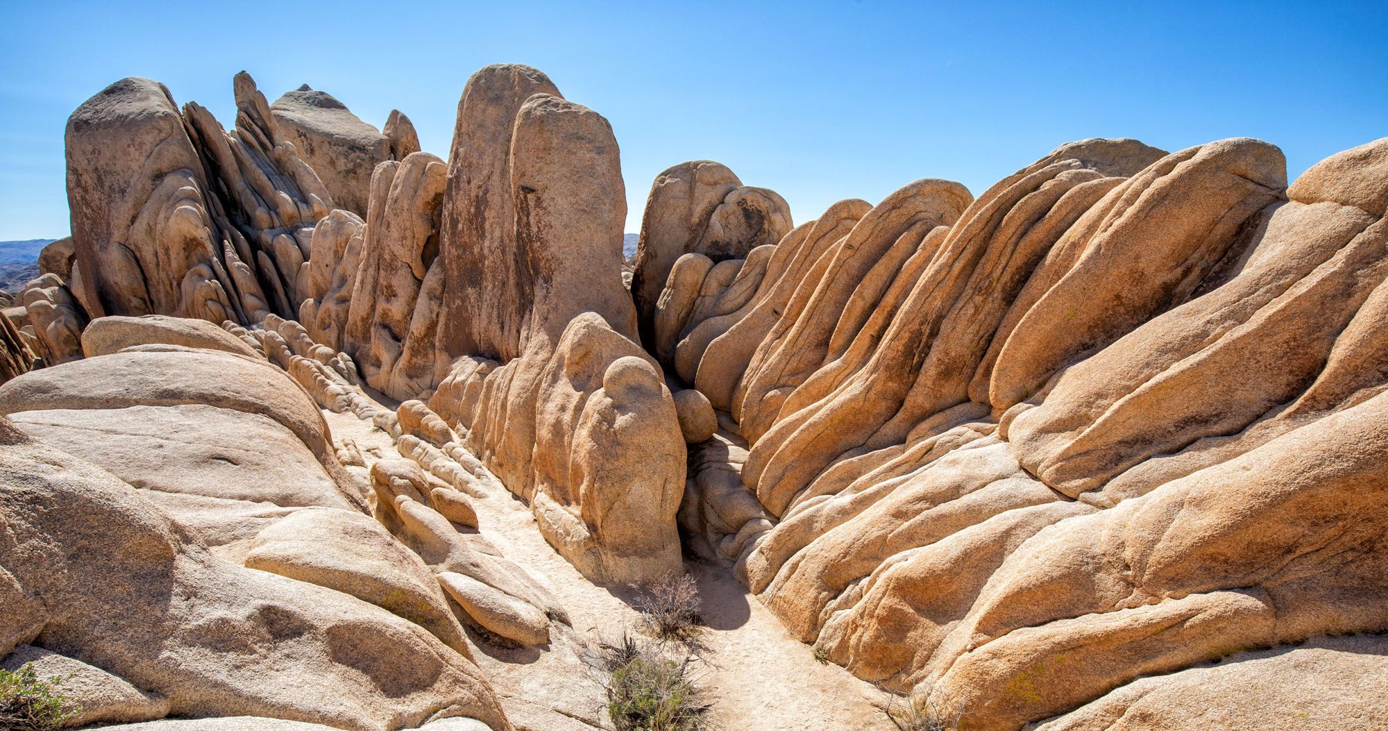 Featured image for “14 Epic Hikes in Joshua Tree National Park (+ Maps & Photos)”