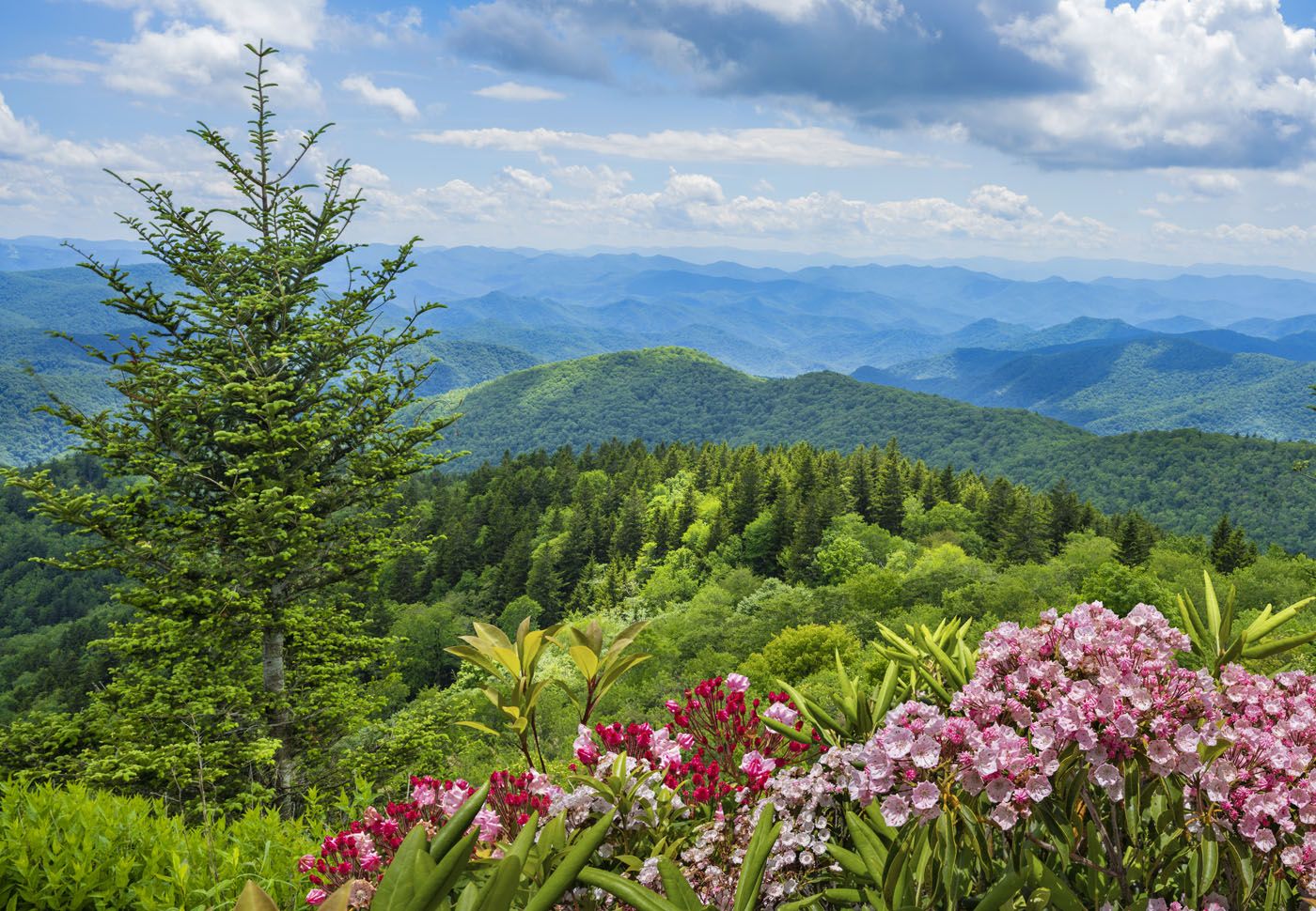 Great Smoky Mountains | Best National Parks in May